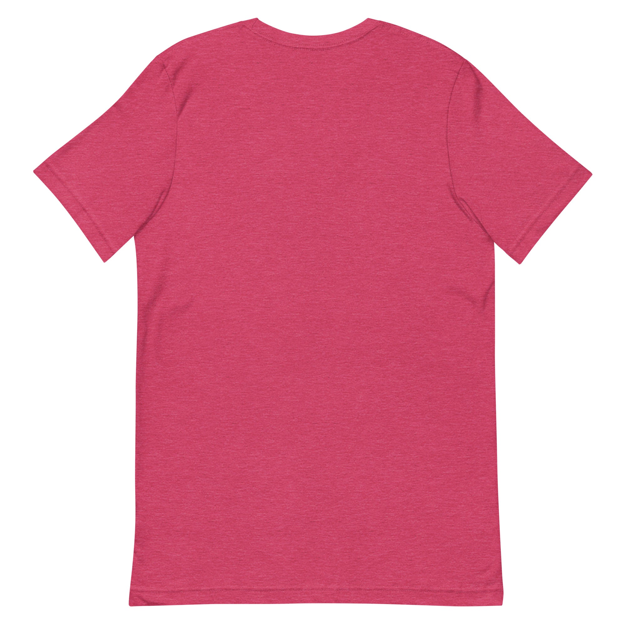 Succubae Unisex t-shirt