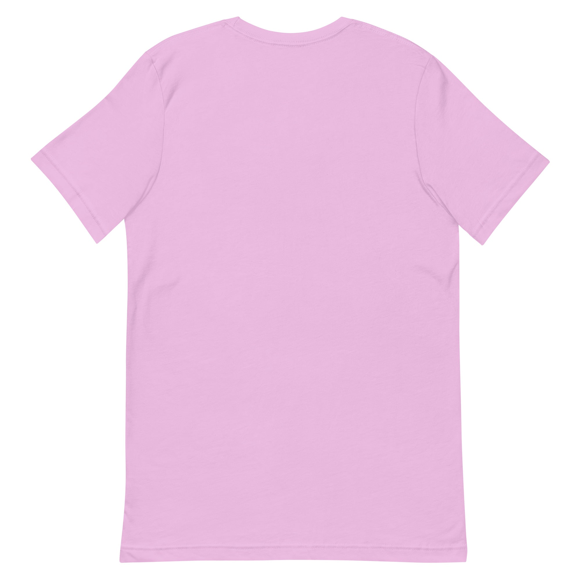 Succubae Unisex t-shirt