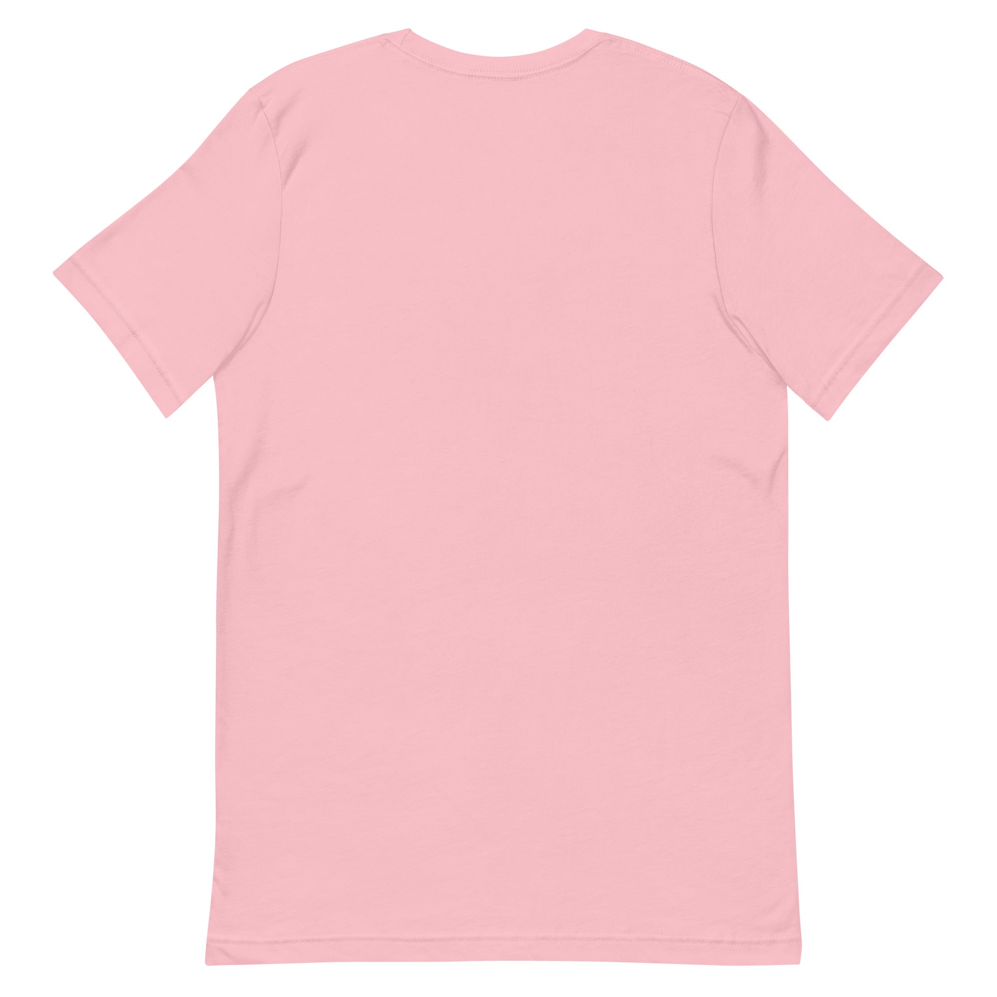 Succubae Unisex t-shirt